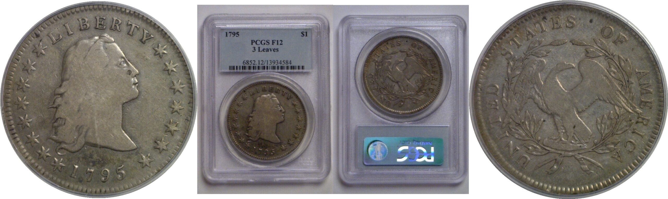 1795 Flowing Hair Dollar   PCGS F-12