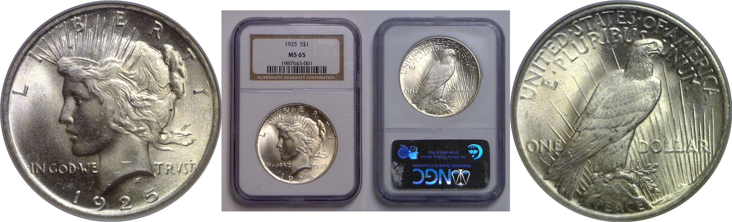 1925 Peace Dollar   NGC MS-65