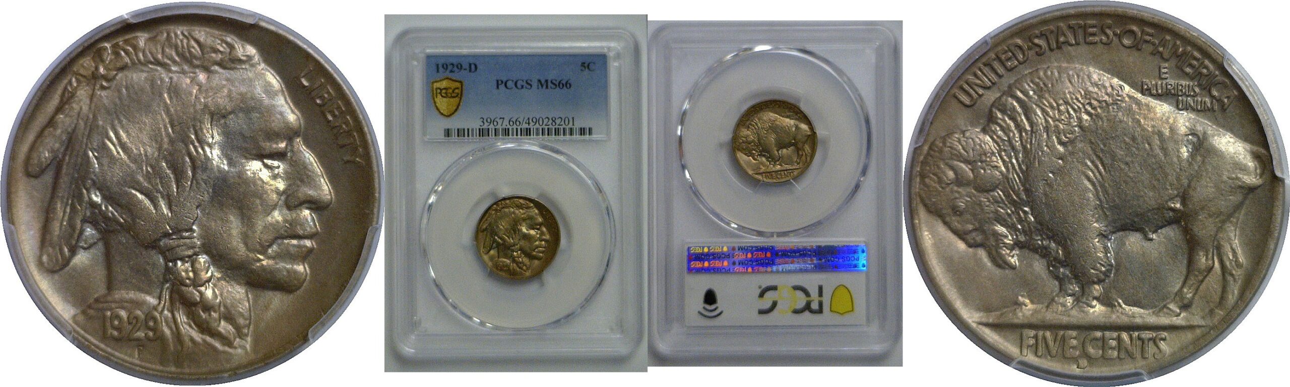 1929-D Buffalo Nickel   PCGS MS-66