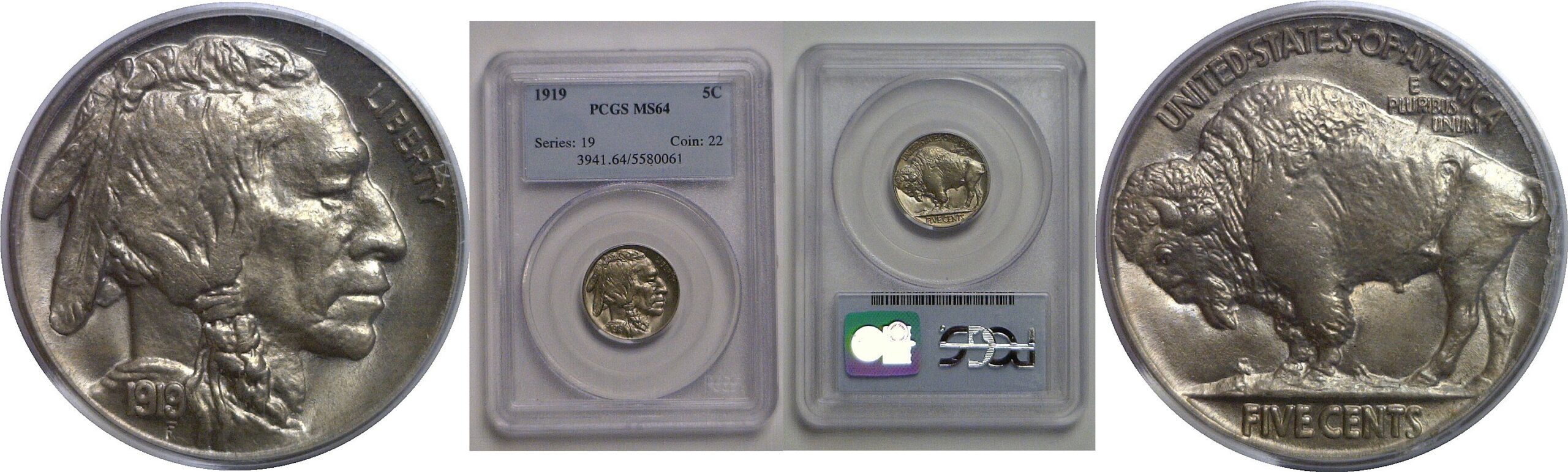 1919 Buffalo Nickel   PCGS MS-64