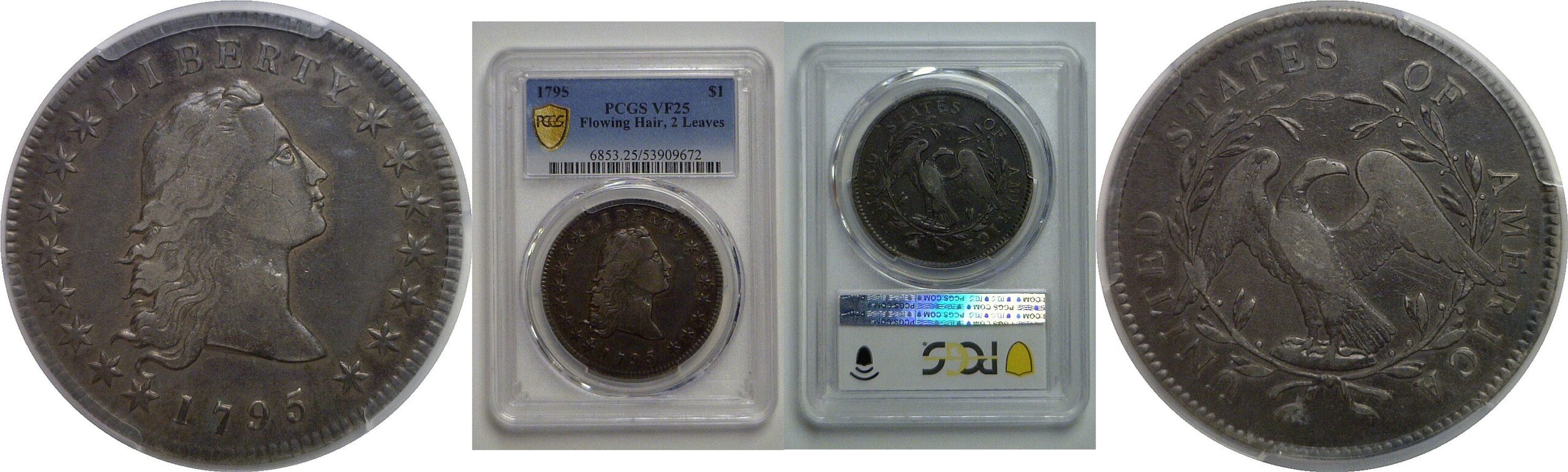 1795 Flowing Hair Dollar   PCGS VF-25