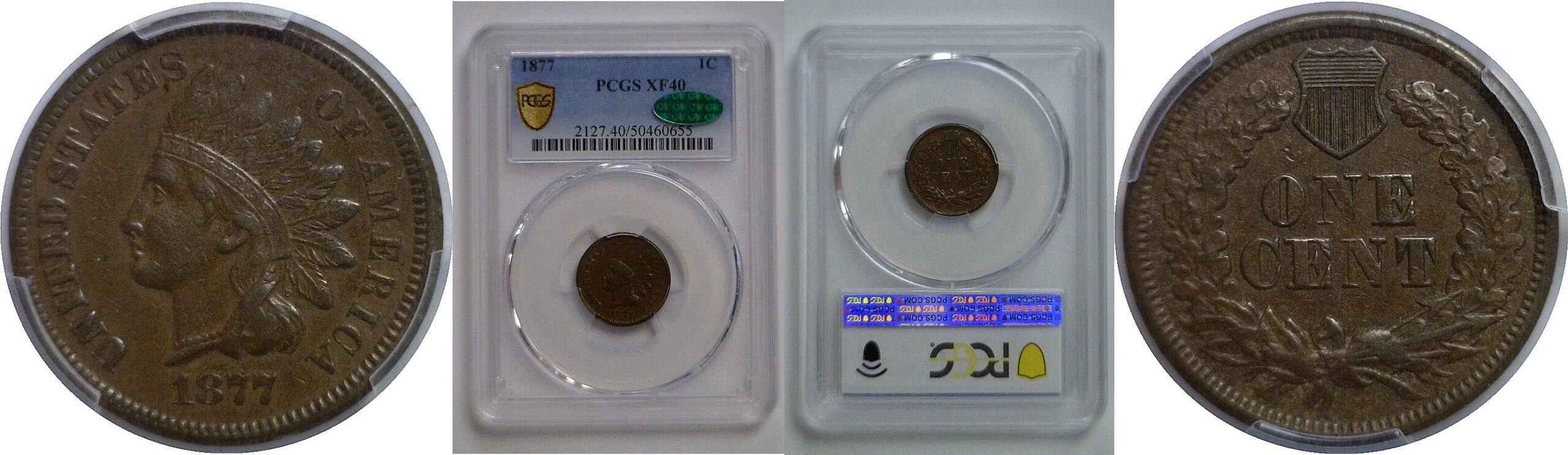 1877 Indian Head Cent   PCGS XF-40 CAC