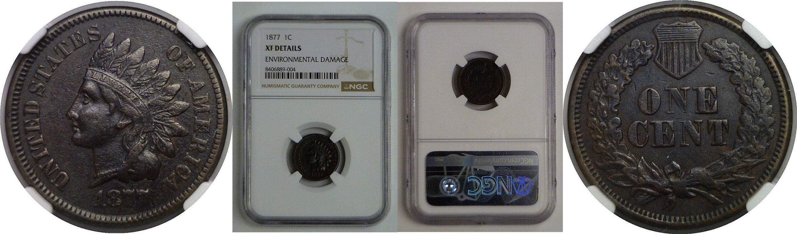 1877 Indian Head Cent   NGC XF Details