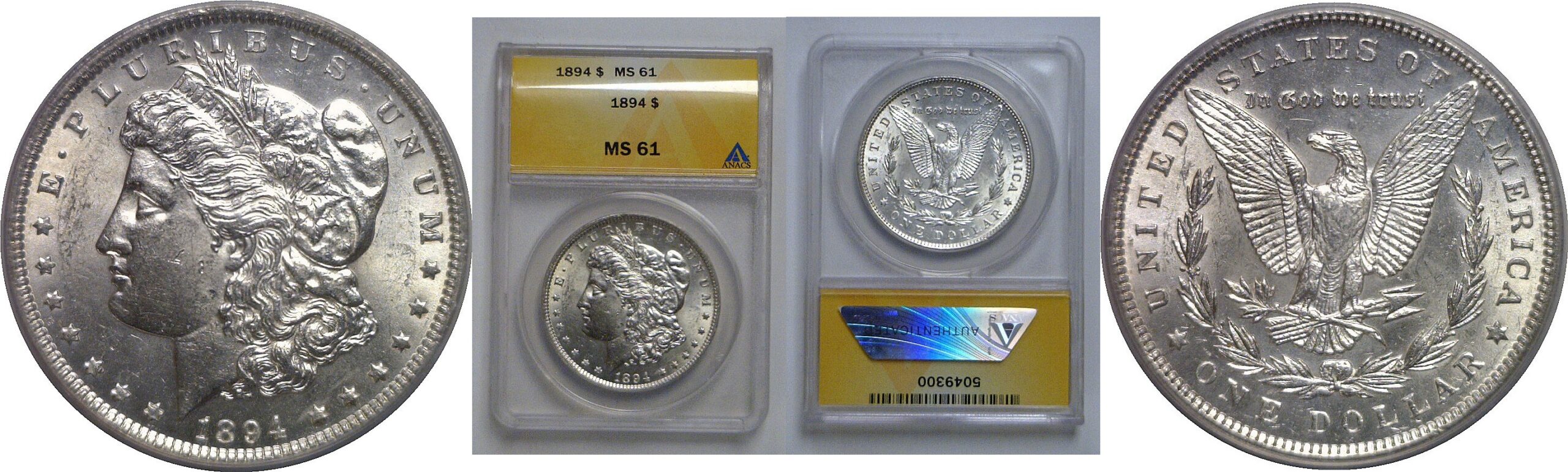 1894 Morgan Dollar   ANACS MS-61