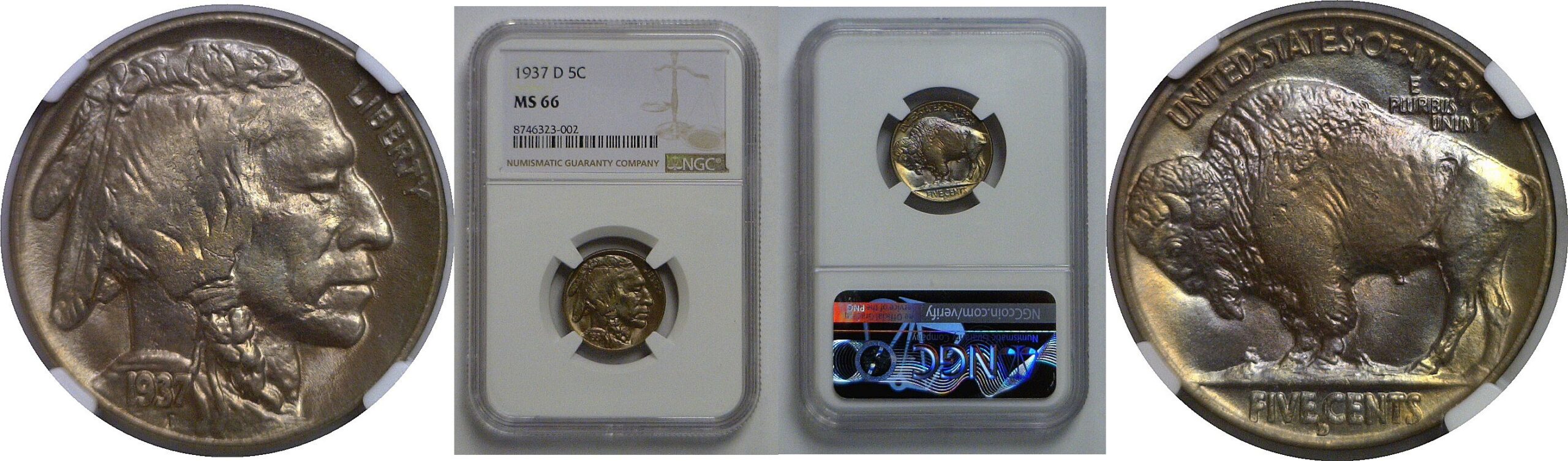 1937-D Buffalo Nickel   NGC MS-66