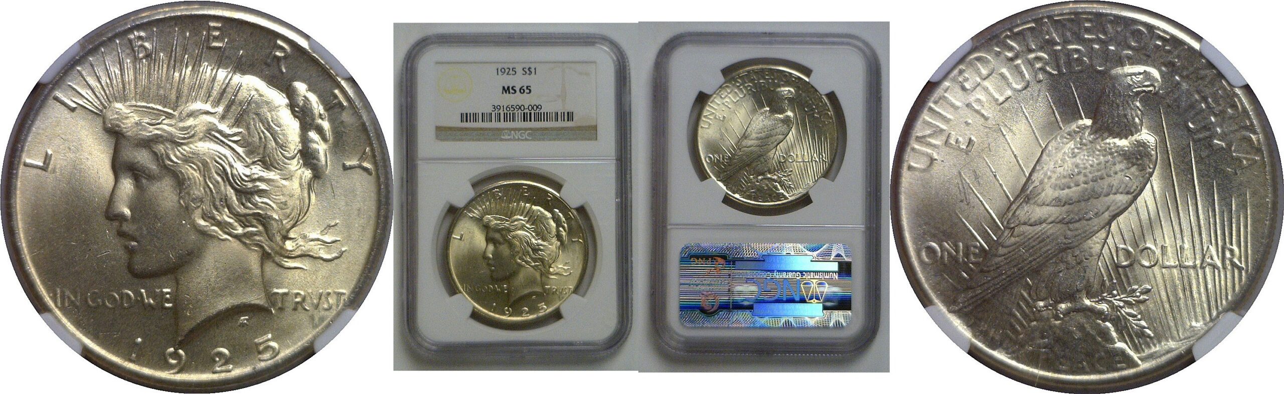 1925 Peace Dollar   NGC MS-65
