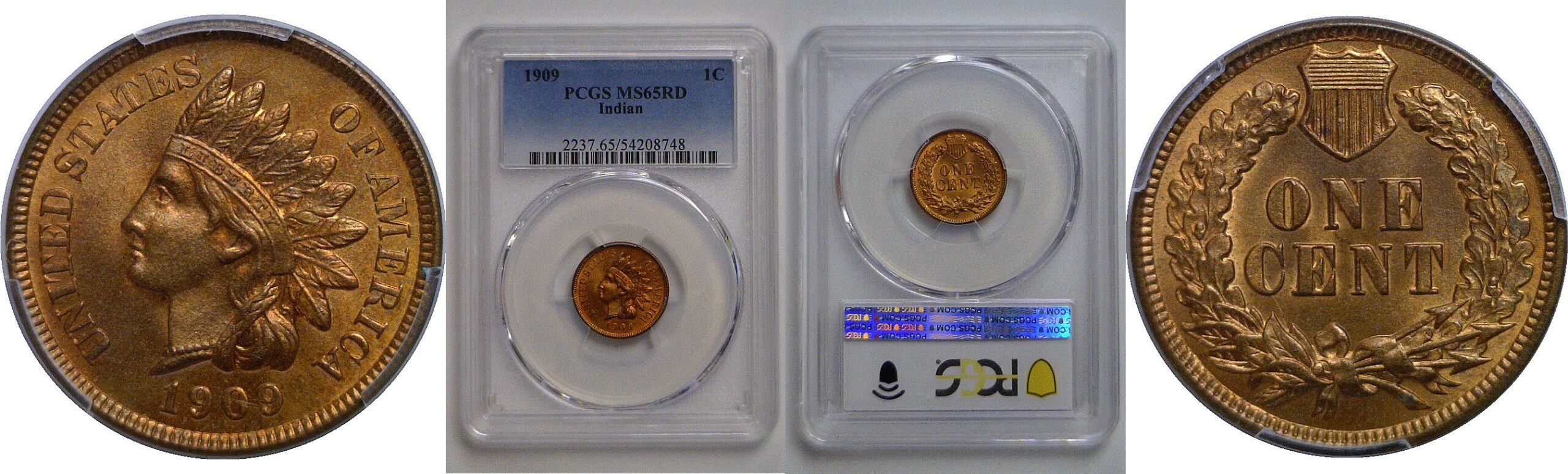1909 Indian Head Cent   PCGS MS-65 RD