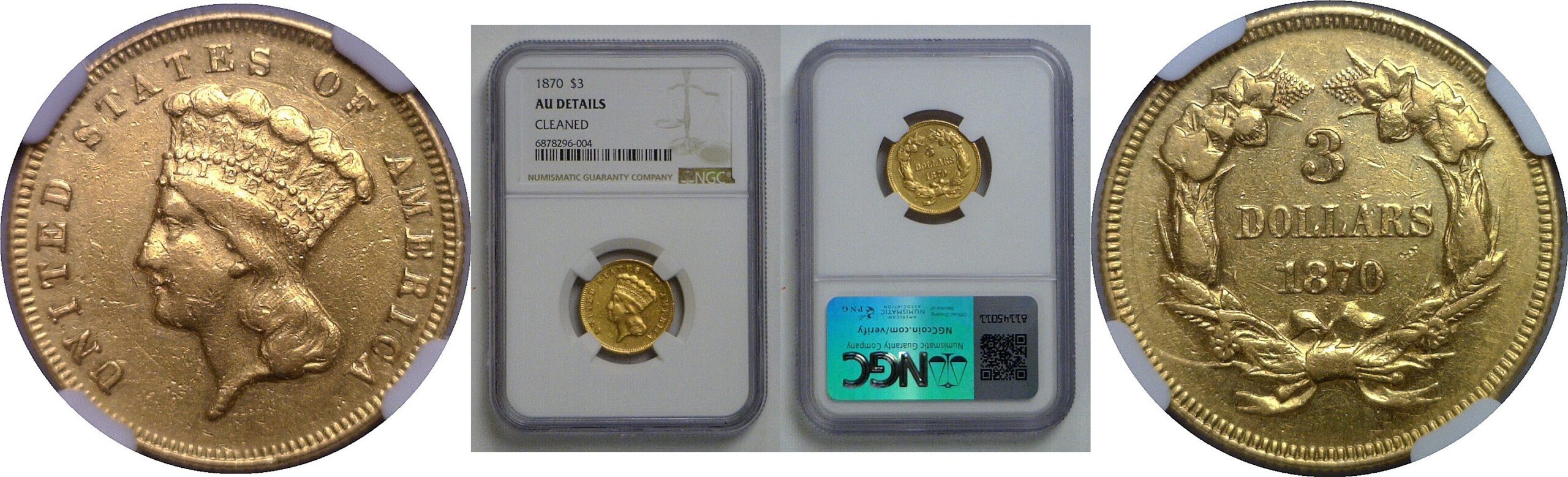 1870 $3 Princess   NGC AU Details