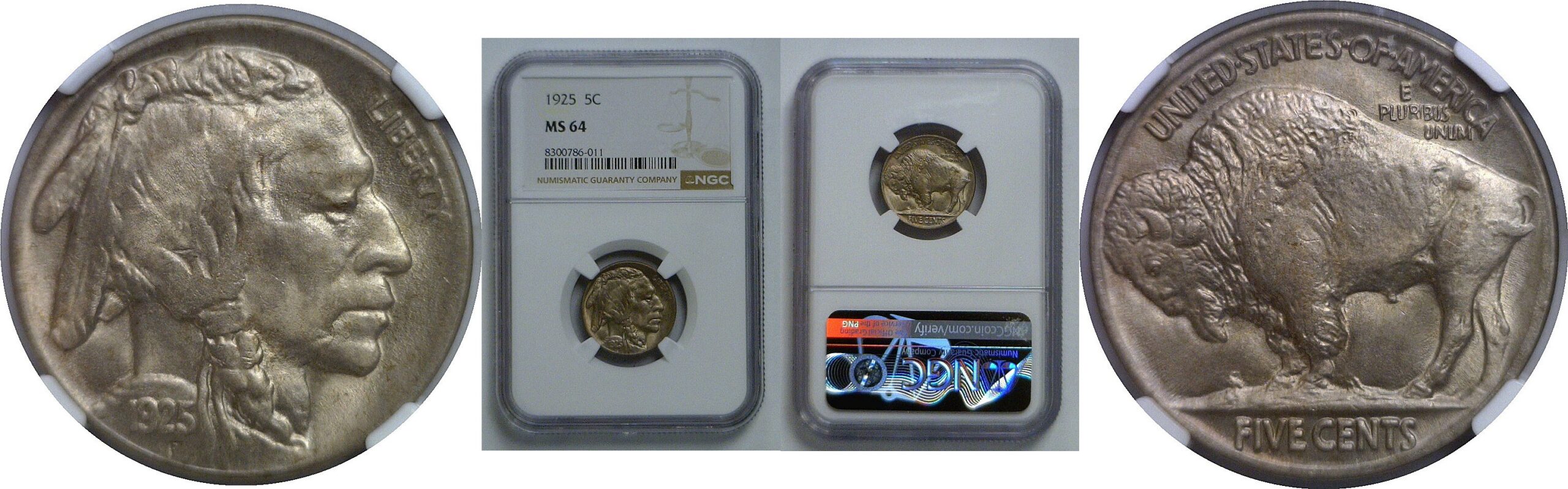 1925 Buffalo Nickel   NGC MS-64