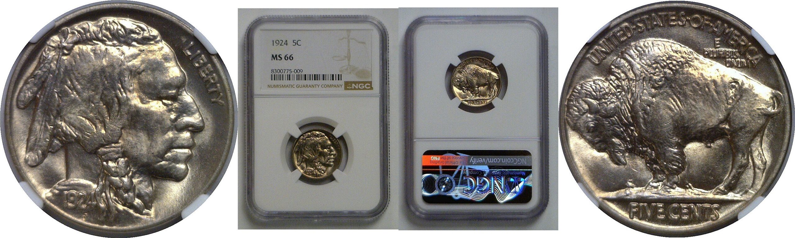 1924 Buffalo Nickel   NGC MS-66