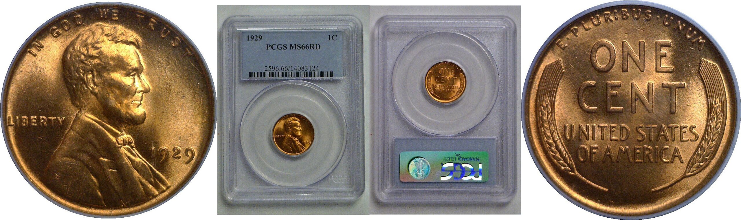 1929 Lincoln Cent   PCGS MS-66 RD