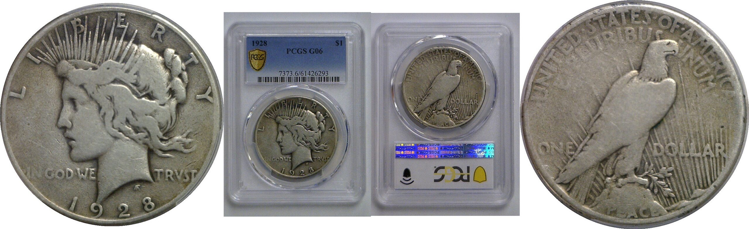 1928 Peace Dollar   PCGS G-6