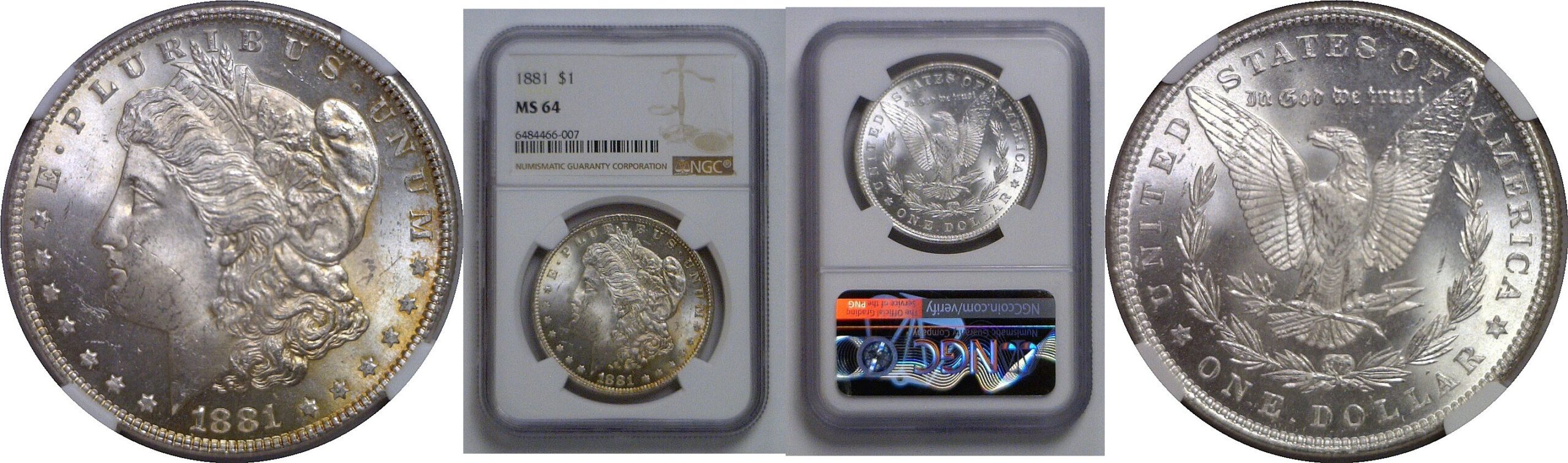 1881 Morgan Dollar   NGC MS-64