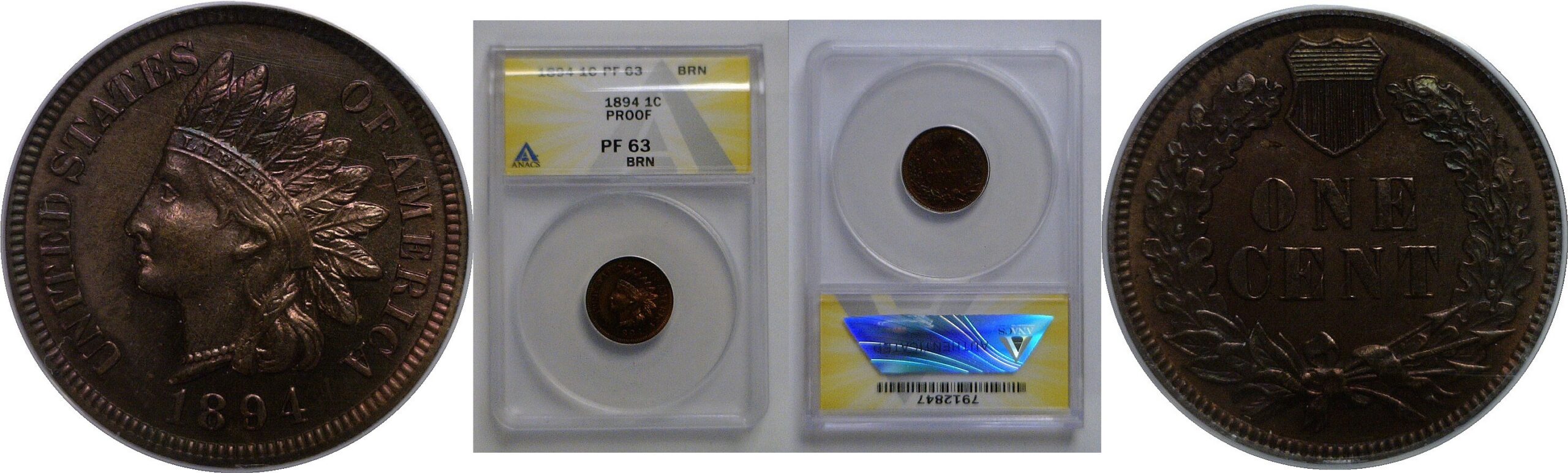 1894 Indian Head Cent   ANACS PF-63 BRN