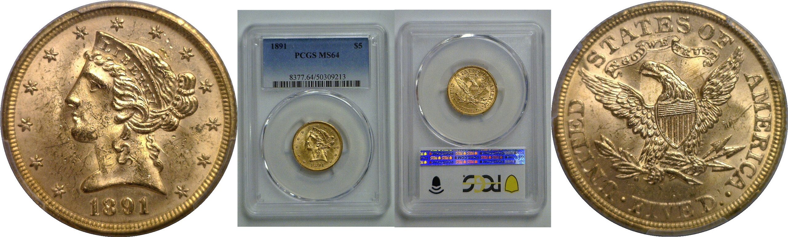 1891 $5 Liberty   PCGS MS-64