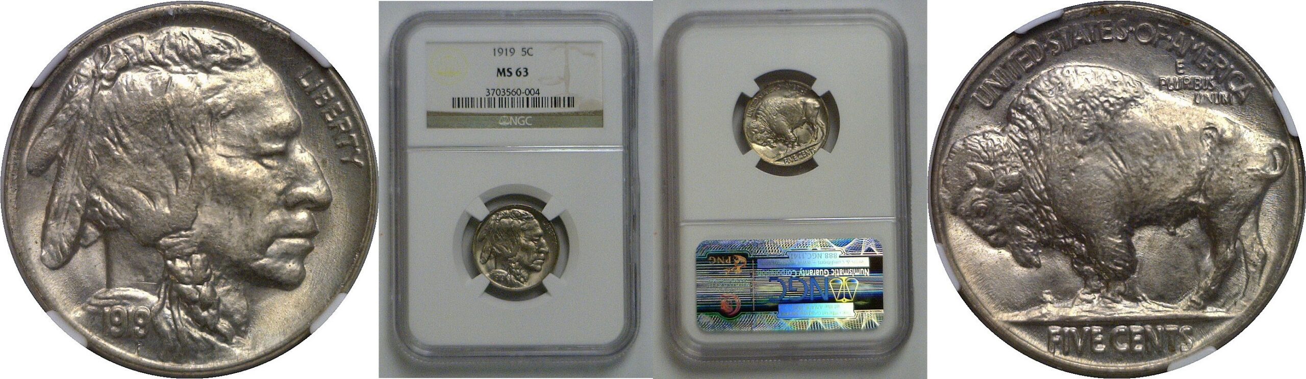 1919 Buffalo Nickel   NGC MS-63