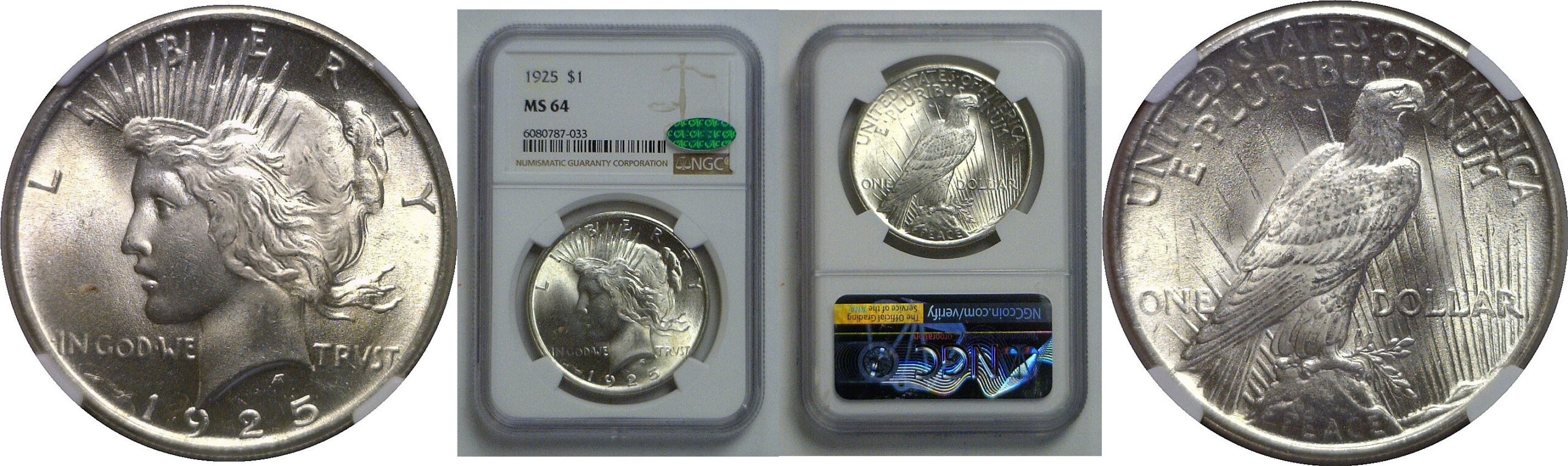 1925 Peace Dollar   NGC MS-64  CAC