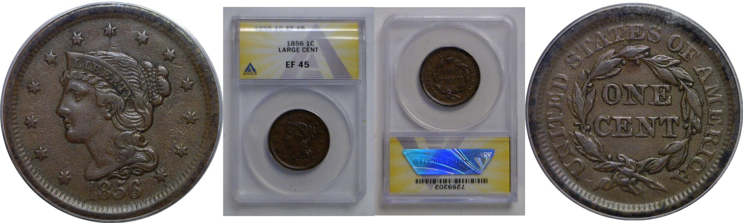 1856 Large Cent   ANACS EF-45