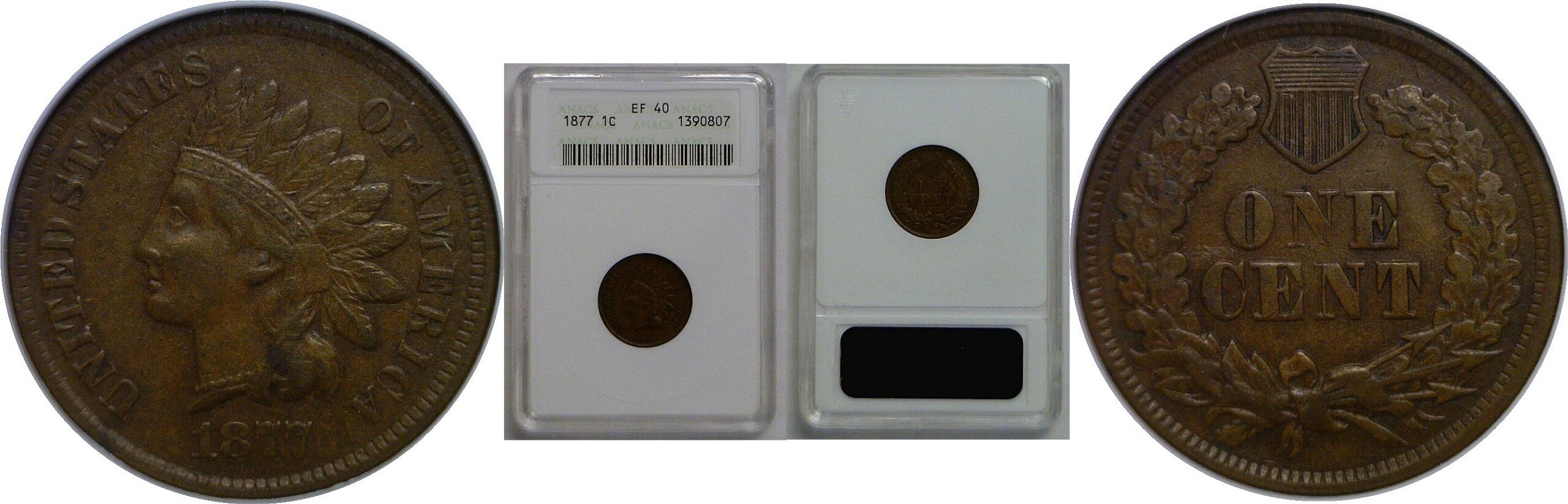 1877 Indian Head Cent   ANACS EF-40
