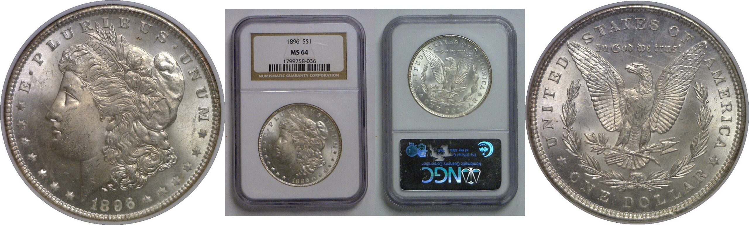 1896 Morgan Dollar   NGC MS-64