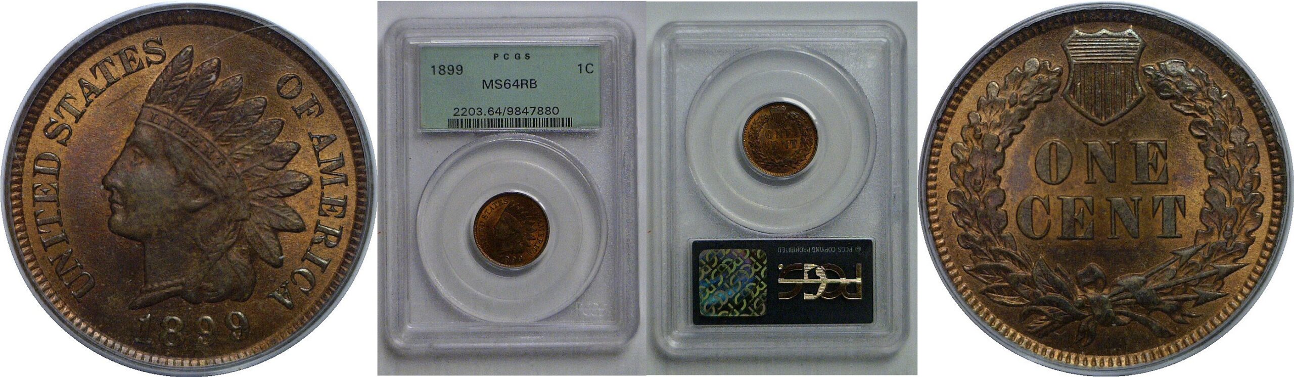 1899 Indian Head Cent   PCGS MS-64 RB