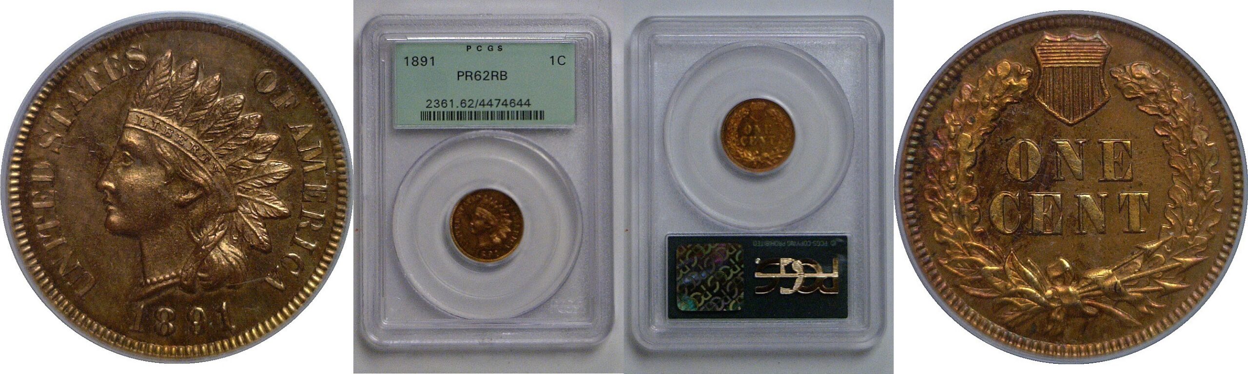 1891 Indian Head Cent   PCGS PR-62 RB