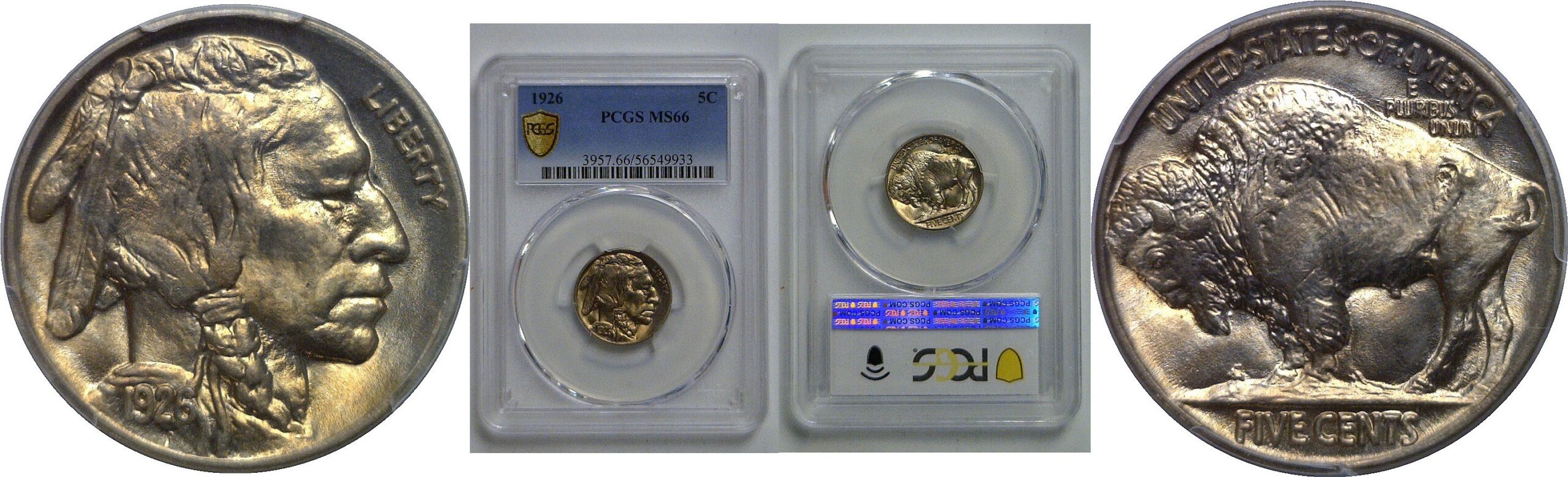 1926 Buffalo Nickel   PCGS MS-66