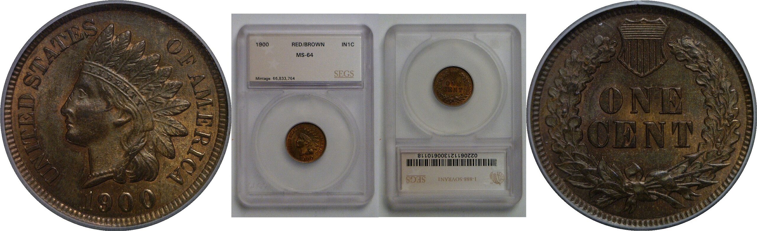 1900 Indian Head Cent   SEGS MS-64 RB