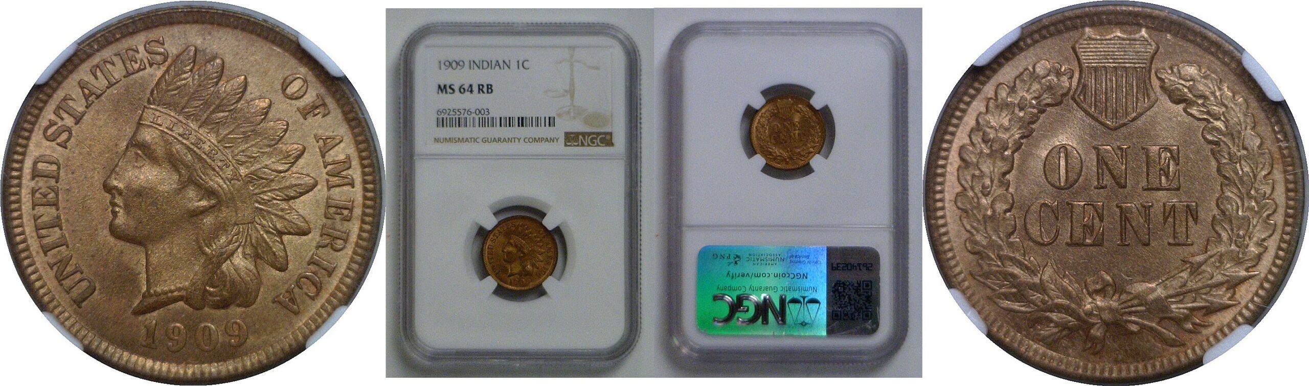 1909 Indian Head Cent   NGC MS-64 RB