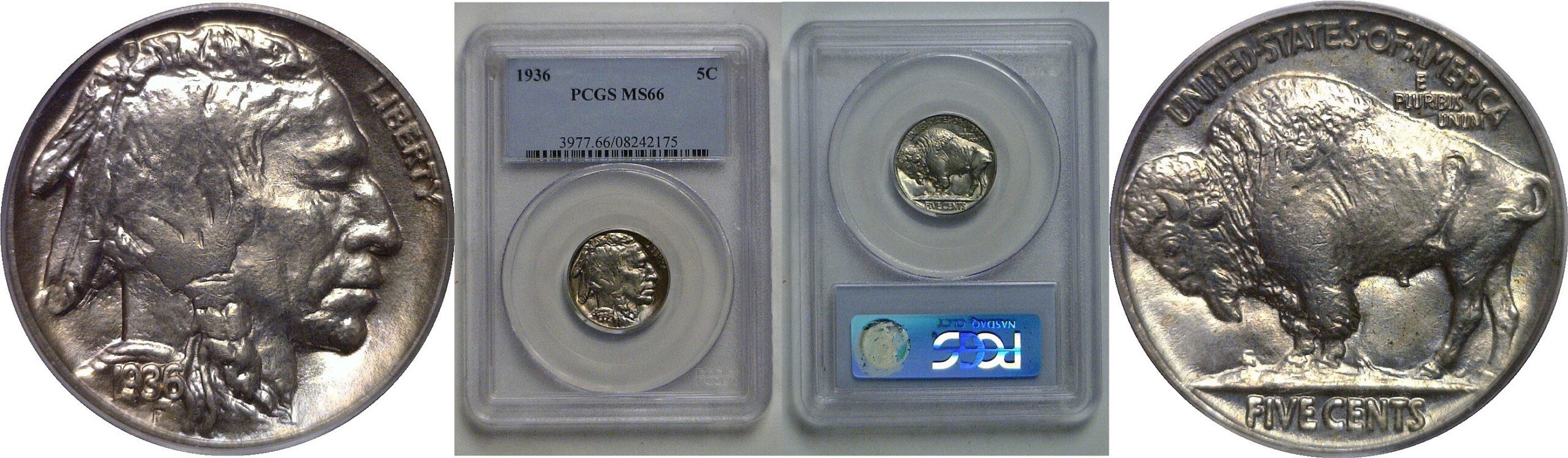 1936 Buffalo Nickel   PCGS MS-66
