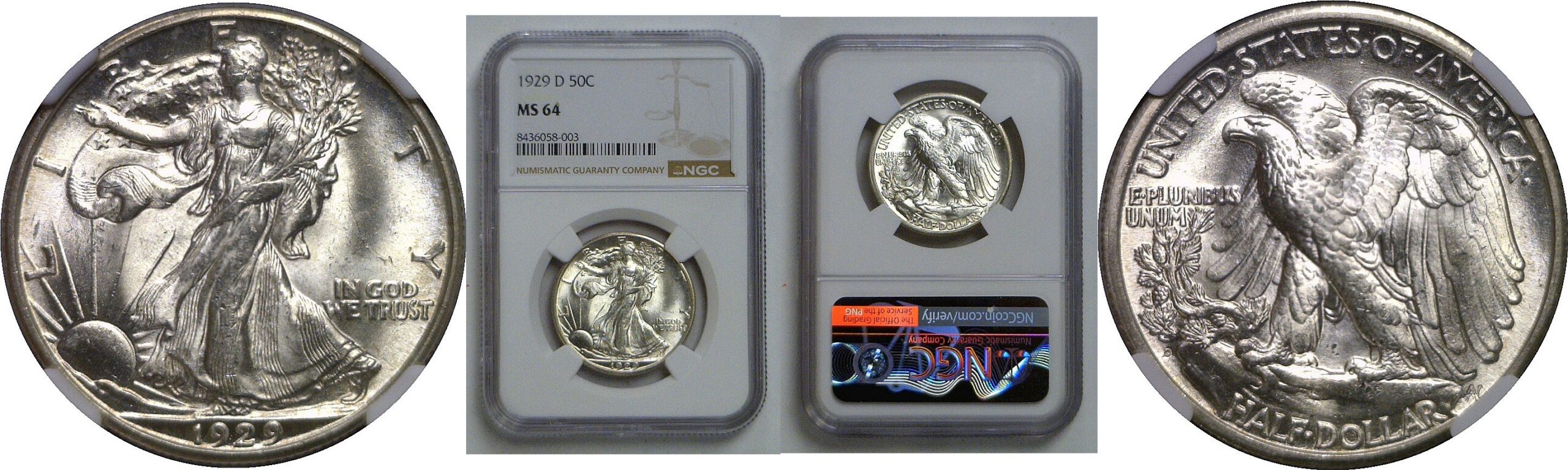 1929-D Walking Liberty Half Dollar   NGC MS-64