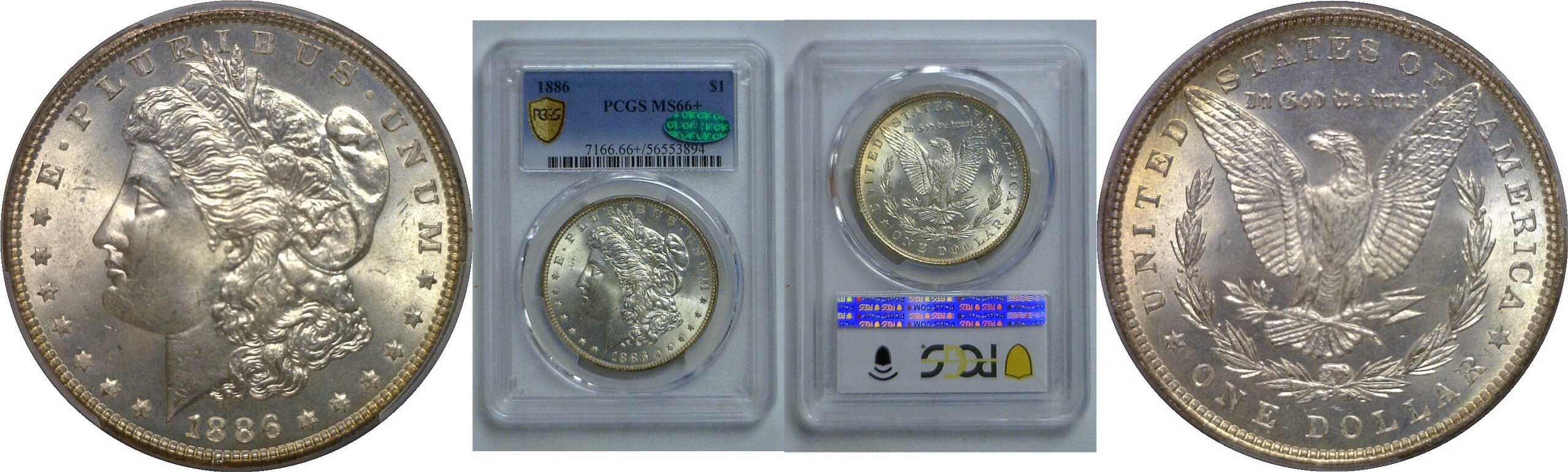 1886 Morgan Dollar   PCGS MS-66+  CAC