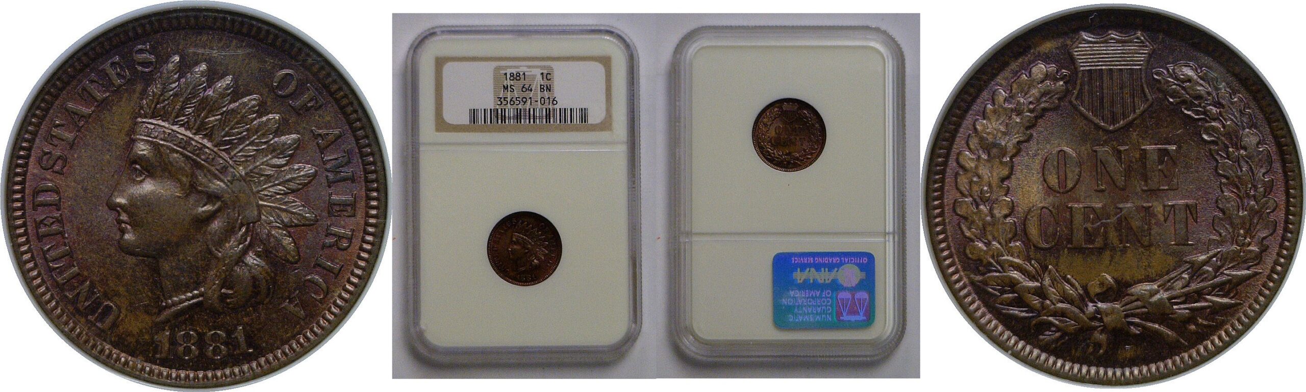 1881 Indian Head Cent   NGC MS-64 BN
