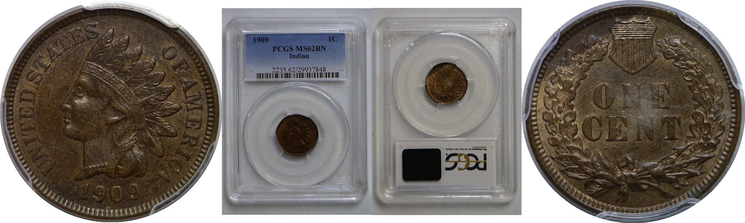 1909 Indian Head Cent   PCGS MS-62 BN