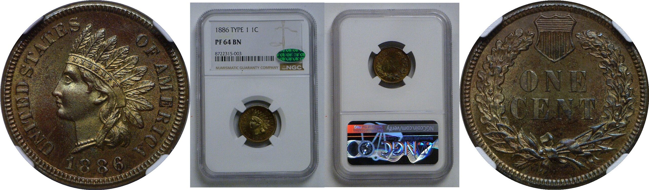 1886 T-1   Indian Head Cent   NGC PF-64 BN  CAC