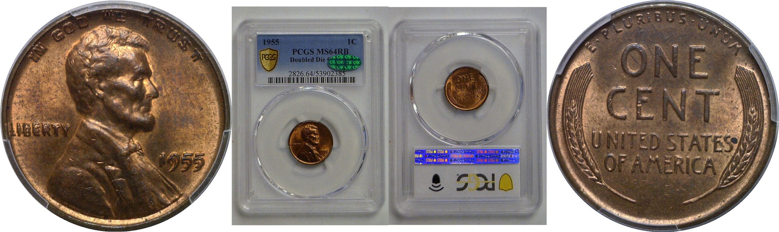 1955 Doubled Die Obverse   Lincoln Cent   PCGS MS-64 RB  CAC