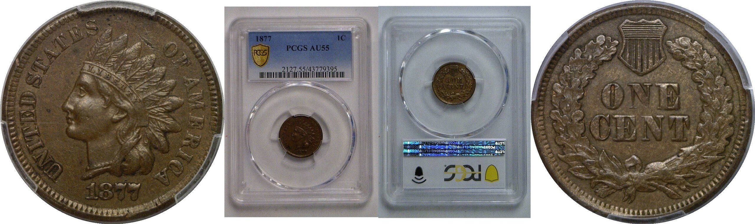 1877 Indian Head Cent   PCGS AU-55