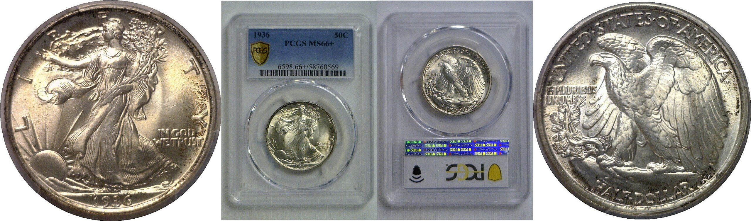 1936  Walking Liberty Half Dollar   PCGS MS-66+