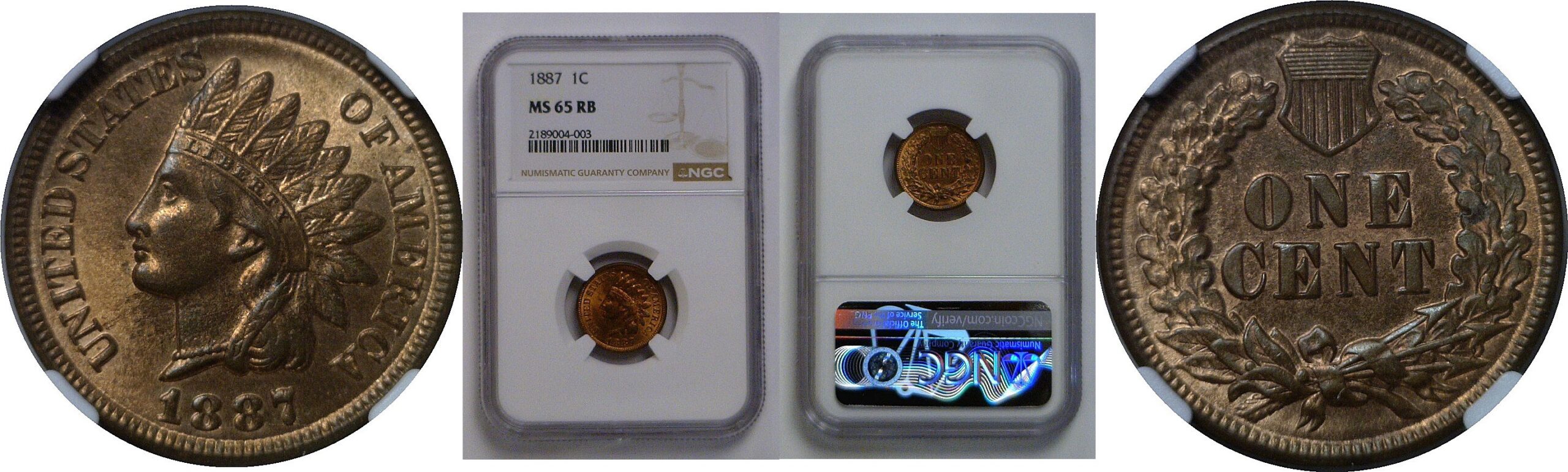 1887  Indian Head Cent   NGC MS-65 RB