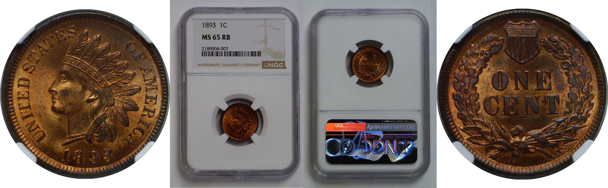 1893  Indian Head Cent   NGC MS-65 RB