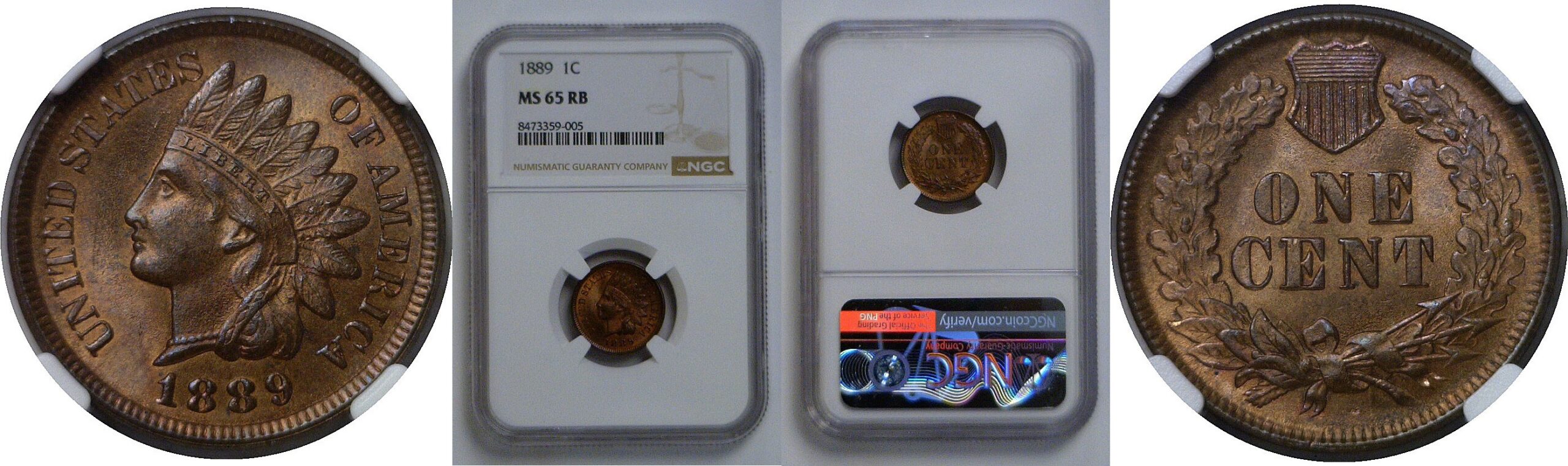 1889  Indian Head Cent   NGC MS-65 RB