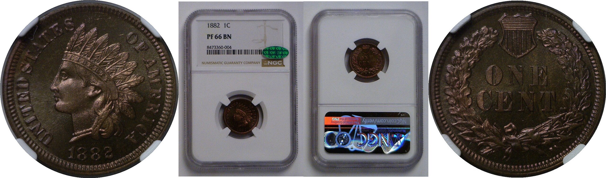 1882  Indian Head Cent   NGC PF-66 BN  CAC