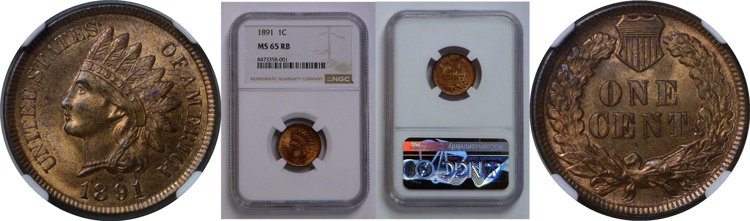 1891  Indian Head Cent   NGC MS-65 RB