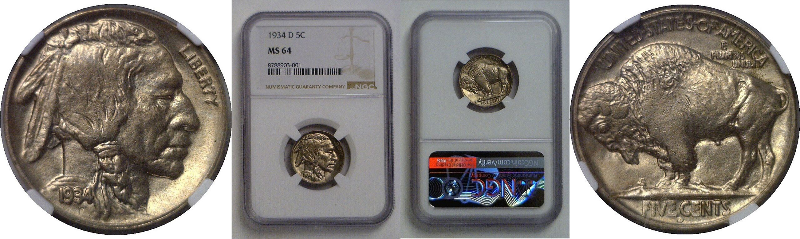 1934-D  Buffalo Nickel   NGC MS-64